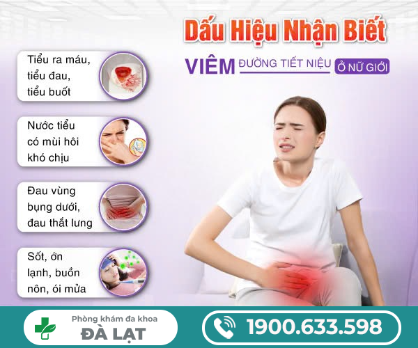 Hình ảnh minh họa